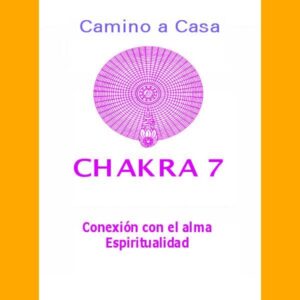 Chakra 7