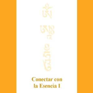 Conectar con la esencia I