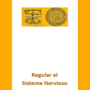 Regular sistema nervioso