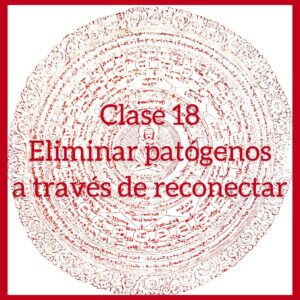 Clase 18 – Eliminar patógenos